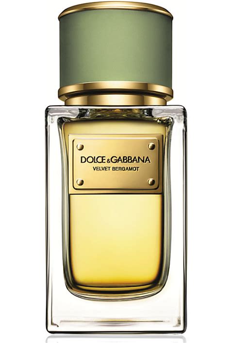 dolce and gabbana limited edition cologne|dolce and gabbana unisex fragrance.